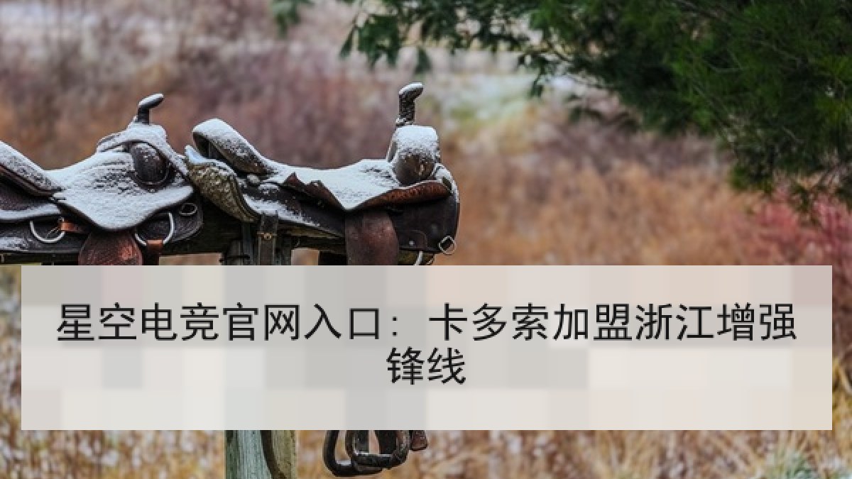 星空电竞官网入口: 卡多索加盟浙江增强锋线 星空电竞官网入口: 卡多索加盟浙江增强锋线