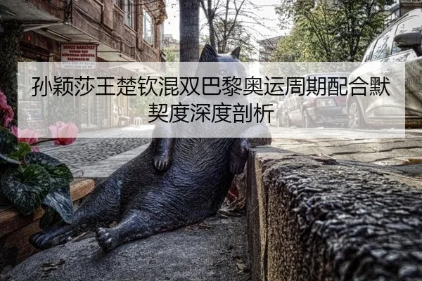 孙颖莎王楚钦混双巴黎奥运周期配合默契度深度剖析
