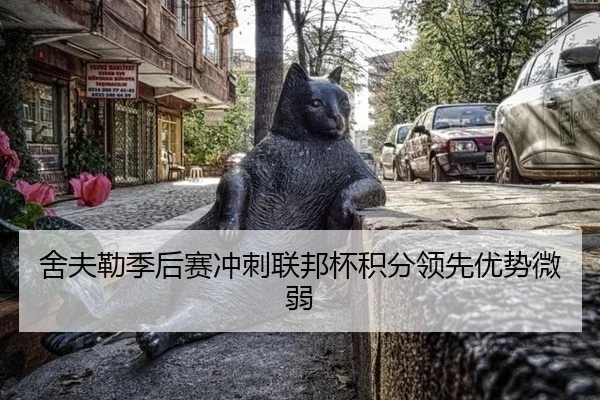 she-fu-lei-ji-hou-sai-chong-ci-lian-bang-bei-ji-fen-ling-xian-you-shi-wei-ruo-3-834.jpg
