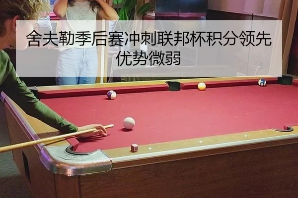 舍夫勒季后赛冲刺联邦杯积分领先优势微弱